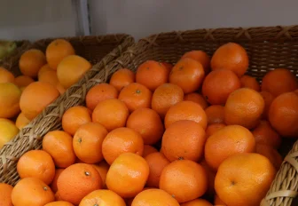 Новогодний ажиотаж в магазинах Новосибирска ждут с 20 до 28 декабря