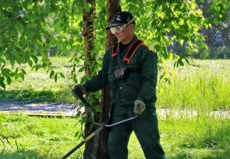 Как охраняют природу в Новосибирске — горячий телефон