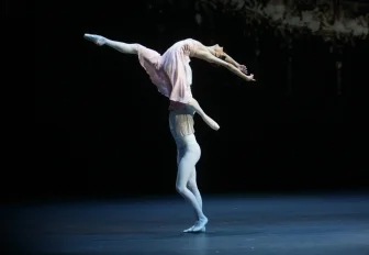 Больше 350 артистов досрочно вышли на пенсию в Новосибирской области