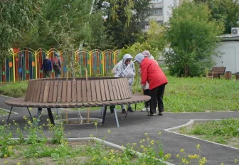 Асфальт вместо народных троп: дворовые скверы открыли в Академгородке