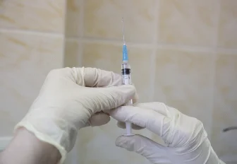 Выездную вакцинацию собак и кошек от бешенства проведут в Новосибирске