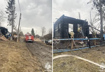 Мать и двое детей погибли на пожаре в деревне Колбаса под Новосибирском