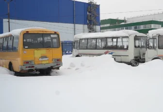 Брошенные автобусы-подснежники нашли на Северном проезде