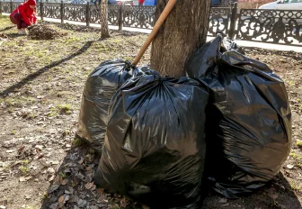 Новосибирцы наводят порядок в городе, не дожидаясь общего субботника