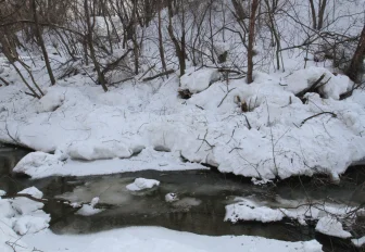 Энергетики защитили кабельные ЛЭП от разлива Ельцовки в Новосибирске