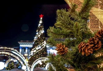 Запускать дроны запретят на новогодних праздниках в Новосибирске