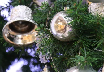 Ажиотажный спрос на новогодние корпоративы устроили новосибирцы