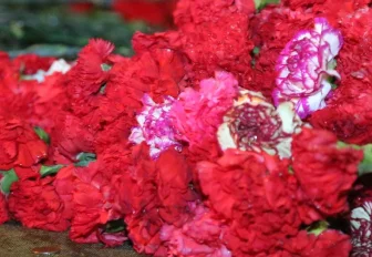 Проект памятной доски врачу поддержали на общественном обсуждении