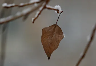 Потепление придёт на смену 28-градусному морозу в Новосибирске