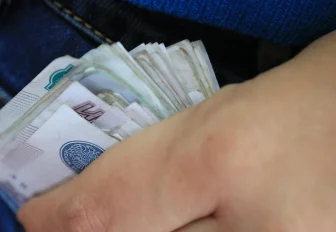 Онлайн-опрос о бытовой коррупции запустили в Новосибирске