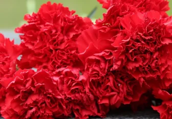 Мэр Кудрявцев выразил соболезнования родным и близким Леонида Сикорука