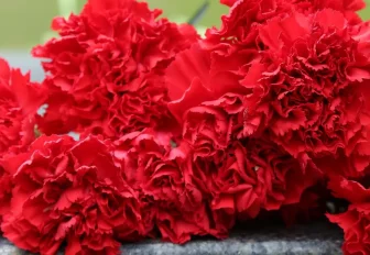 На 57-м году жизни умер экс-глава минстроя Новосибирской области Иван Шмидт