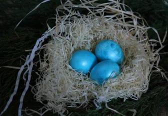 Новосибирцам разъяснили, что делать со скорлупой после Пасхи  