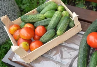 Какие продукты сильнее всего подорожали в Новосибирской области