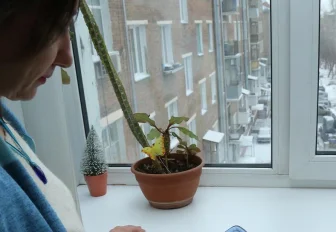 Отключения тепла на левом берегу объяснили в мэрии Новосибирска