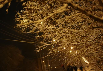 Мэр Кудрявцев: современные фонари зажгли на улице Коминтерна
