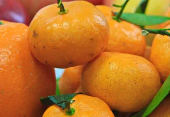 Что будет, если съесть слишком много мандаринов