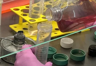 Уникальный метод трансплантации костного мозга создают в Новосибирске