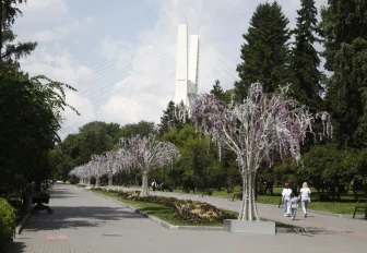 Аварийные деревья спилят вдоль Михайловской набережной в Новосибирске