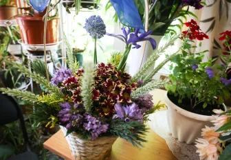 От подоконника до сада: «зелёный микс» покажут в «Дачной академии»