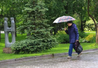 «Закон подлости» недельных скачков погоды объяснила доцент ТГУ