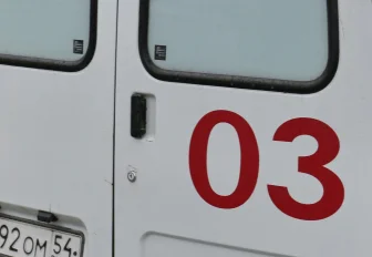 Двое детей выжили в автокатастрофе под Новосибирском (18+)