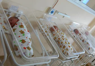 «Королевскую двойню» зарегистрировали в Новосибирской области