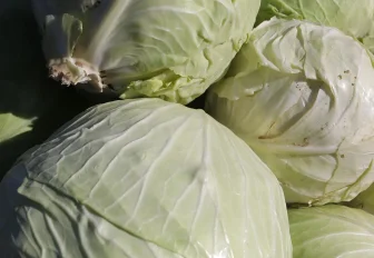 Сколько стоит приготовить щи из советского фильма «Девчата»