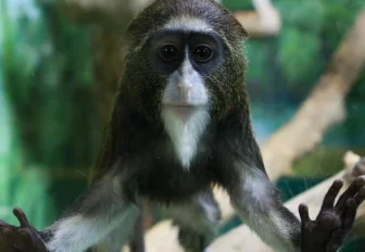 Праздник урожая для щедрых дачников устроят в Новосибирском зоопарке