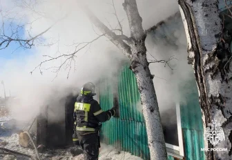 Троих погибших нашли при тушении пожара в Новосибирской области (18+)