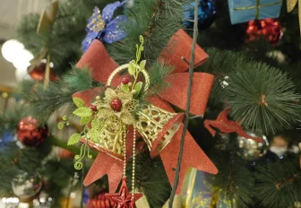 Тихая ёлка: праздник для глухих детей устроил новосибирский театр кукол