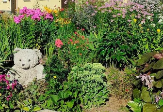 Лучшую дворовую клумбу выберут в Новосибирске народным голосованием