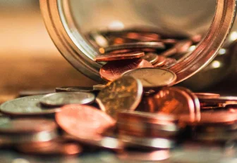 Четыре финансовых пирамиды обнаружили в Новосибирской области