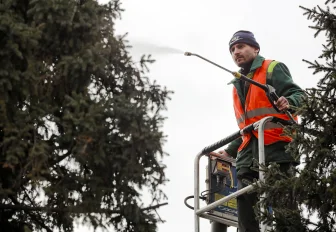 Если вы пропустили: душ для ёлок, чёрная точка и трамвай до автовокзала