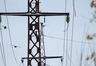 Частную пекарню нелегально подключили к электросетям в Новосибирске