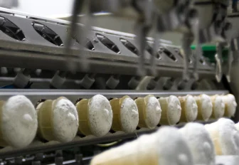 Экспорт мороженого из Новосибирской области вырос на 13%