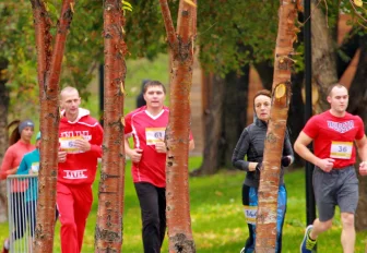 Деньги в поддержку сирот соберут на забеге в Заельцовском бору