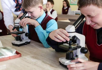 Новосибирская неделя: досрочные каникулы, замена берёзам и форум OpenBio