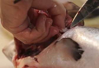 Службу доставки роллов на Шлюзе закрыли после отравления 14 человек