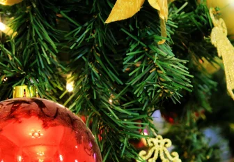 «Новогодний автобус» побывает в девяти детских больницах Новосибирска