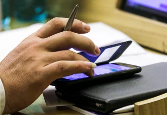 Закон о бродячих животных в Новосибирске приняли в первом чтении