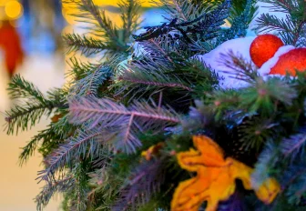 Подготовку к Новому году обсудят на инфоднях мэрии в ноябре