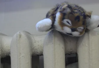 Батареи в квартирах новосибирцев стали греть сильнее с приходом морозов