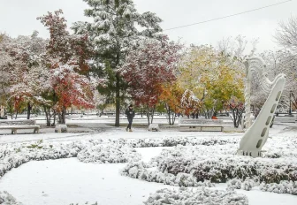 Новосибирская неделя: снегоуборщики, пешеходная Ленина и переработка ТКО
