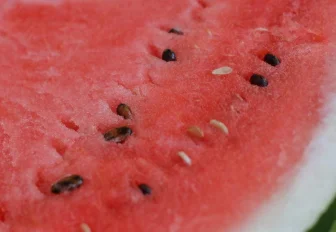 Звонкий, хрустит и вибрирует: всё, что нужно знать при выборе арбуза