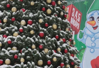 Новосибирская неделя: штраф за ёлки, затяжные стройки и новогодние огни