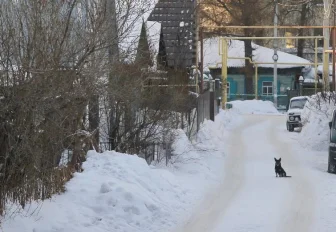 Первую «сельскую ипотеку» под 2,7% годовых выдали в Новосибирске