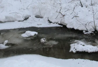 Апрельские снегопады не повлияли на паводок в Новосибирской области