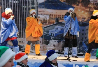 Выборы новогоднего талисмана решили больше не проводить в Новосибирске