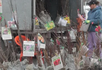 Ярмарки с товарами для дачников развернут в пяти районах Новосибирска